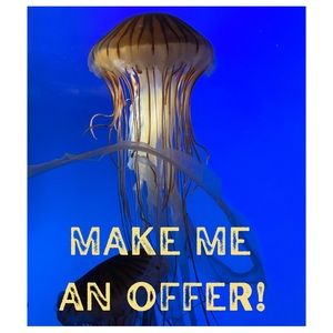 All reasonable offers accepted!!!